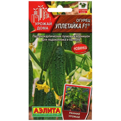 ������ ������ ������ ��������� ������ ������ ���� ������ ��������� F1 7�� ����