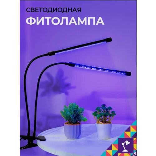 ������ ������ ��������� �� �������� 2 �����, ��������� ��� �������� ����