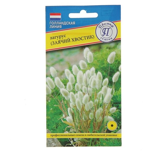 ������ ������ ������ ������� ������ ������� ������ ������� ����