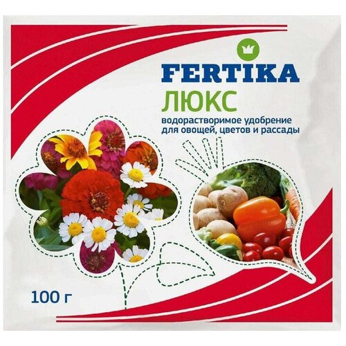 ������ ������ ��������� ������� ���� ��� ������, ������ � ������� 100 �� ����