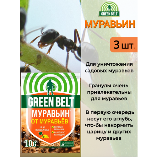   Green Belt ( ) 10  - 3 .       -     , -,   