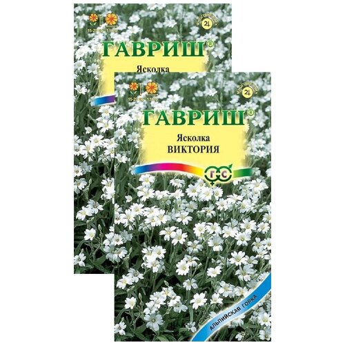 ������ ������ ������� ����������� �������� (0,05 �), 2 ������ ����