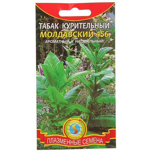 ������ ������ ������ 