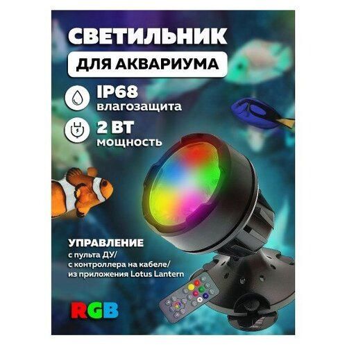       IP68   RGB (1 , APP, ) OG-LDP19    -     , -,   