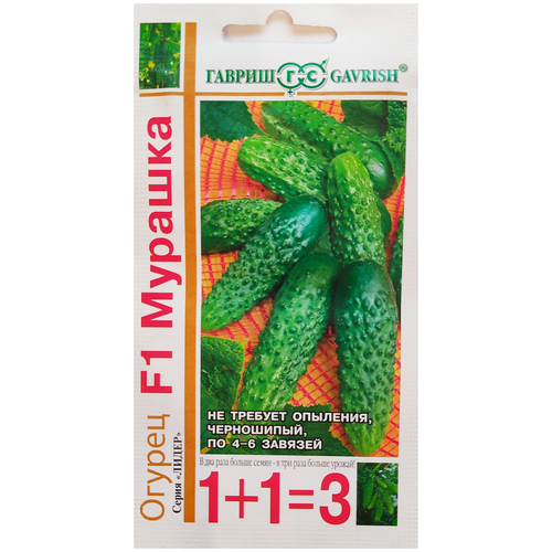 ������ ������ ������ ������ ������� F1, 20 ����� ����