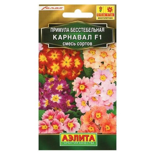 ������ ������ ��������� ������ ������ ������� �������� F1, ����� �������,7 ��. ����