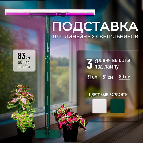 ������ ������ ��������� ��� ���������, 2� ��������� ��������� ��� ��������� 83 ��. �-��������, ������� ����