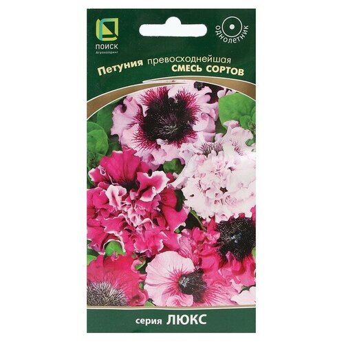 ������ ������ ������ ����� ���� ������� ��������������� ����� ������ 10 ��. ����