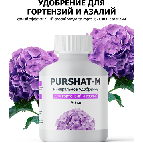    ,     (Purshat) 50    -     , -,   