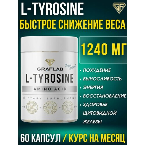 ������ ������ �������, ��� ���������, 1240 ��, 60 ������ ����