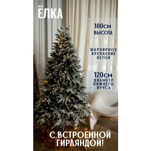 ������ ������ ������������� ���� ����������� � ���������� ���������, �����+���, 180�� ����