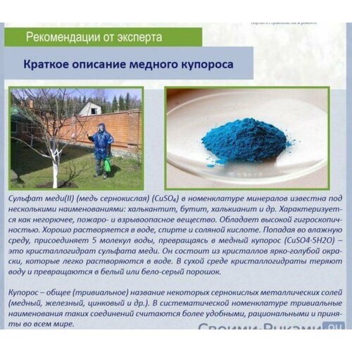 ������ ������ ������ ������� 1�� (������ �������) ����