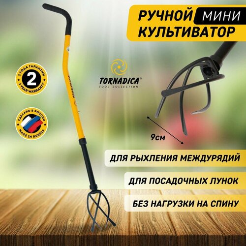 ������ ������ ������ ���� ����������� ��������� , �������������� ��� ����������� ����� ����� ��������� � ���������� �������� ����