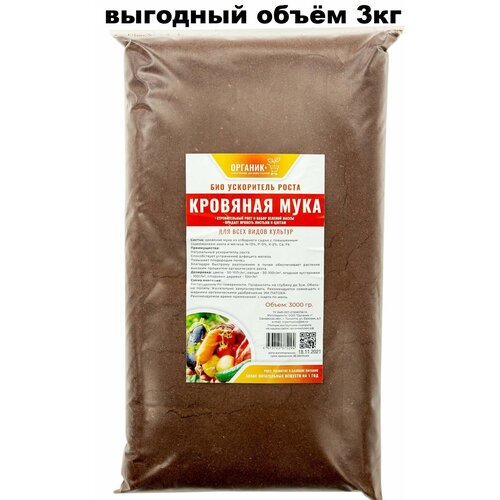 ������ ������ ��������� �������� ���� 3000�. ����