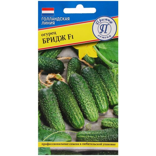 ������ ������ ������ ������� ������ ������ ����� F1, 5 �� ����