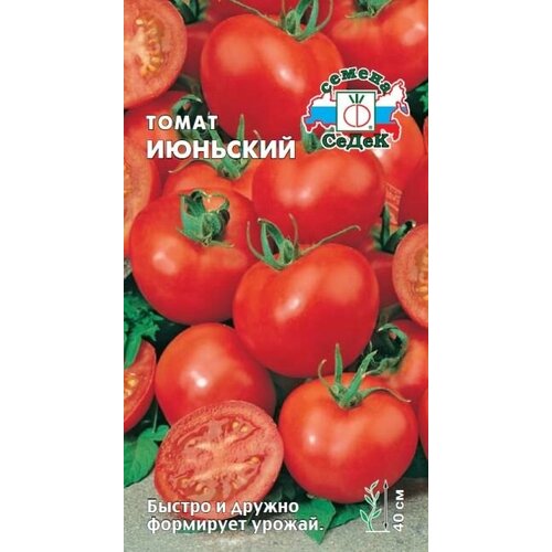 ������ ������ ������ ����� �������� - ����� ����