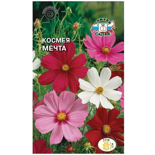 ������ ������ ������ ����� ������ ����� ����