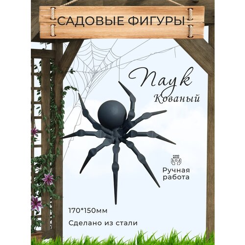 ������ ������ ������� ������� ������� ���� ��������� ����