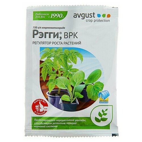 ������ ������ ��������� ����� �������� �����, 1 �� ����