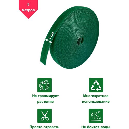 ������ ������ �������� ������� ��� �������� 5� ������� ����