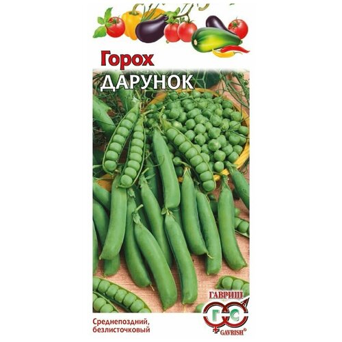 ������ ������ ������ ����� ������ ������� ��������������, 10 � ����