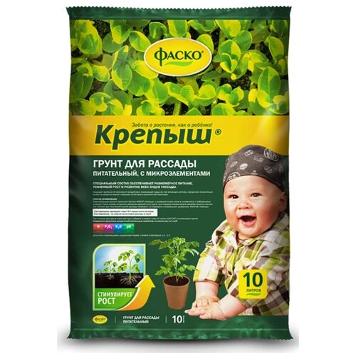 ������ ������ ����� ������ ��� ������� 10� ����