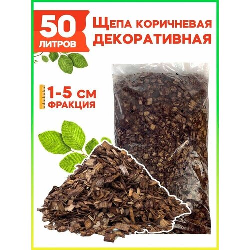 ������ ������ ���� ������������ �������. �����-�����������, 50 � ����