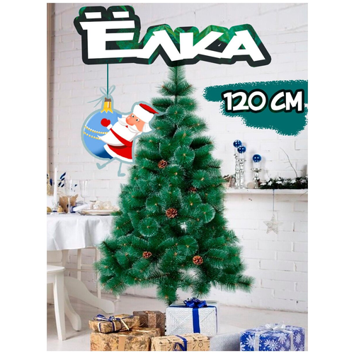 ������ ������ ���� ������������� � ������� � �����, 120�� ����