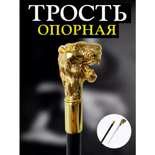 ������ ������ ������ ��� ������ � ������� ����������(������ ����) ����