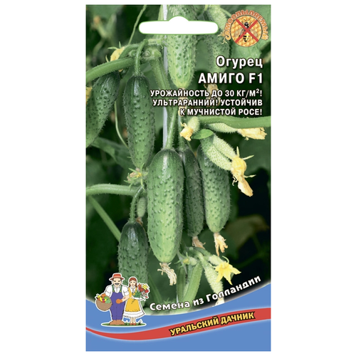 ������ ������ ������ ������ ����� F1 ����