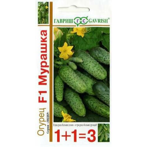 ������ ������ ������ ������ ������� F1 20�� ������������������ ������ (������) 1+1 ����