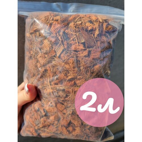 ������ ������ ��������� ����� ��� ������� 2�. ����� ��� ������. �������� ��������� ��� ��������. ����