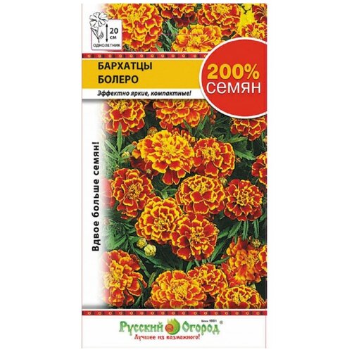 ������ ������ ������. �����. �������� 