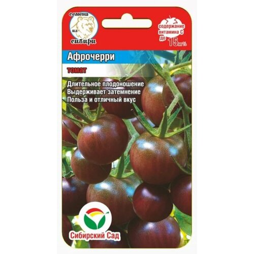 ������ ������ ������ ����� ����-����� 20�� ����� (��������� ���) ����