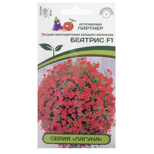 ������ ������ ������ ������� �������������� ��������-��������� 