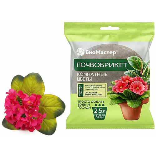 ������ ������ ����������� ��������� 