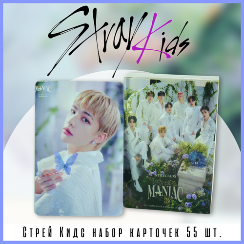 ������ ������ �������� Stray kids ���� �����