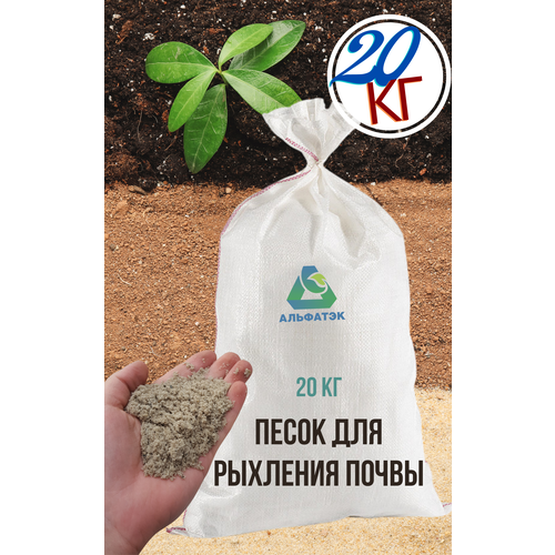 ������ ������ ����� ��� �������� ������ (�����), ��� ����������, ��� �������� (������, ����� � ��.), ����� 20 �� ����