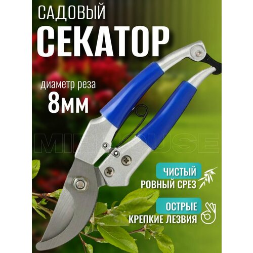 ������ ������ ������� ����������� ����