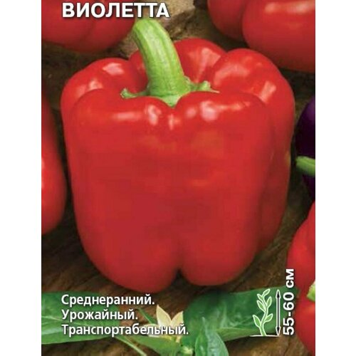 ������ ������ ����� ������� �������� ����