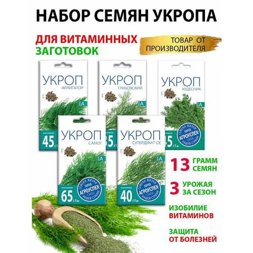 ������ ������ ����� ����� ������ 5 ������ ����