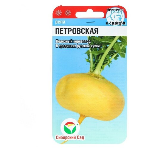 ������ ������ ������ ���� 