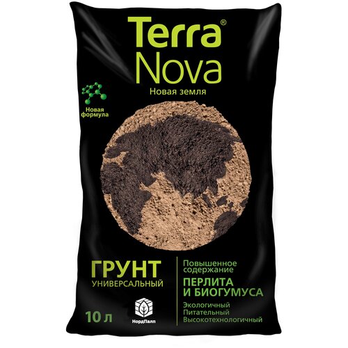 ������ ������ ����� ������������� ����� ����� (Terra Nova) 10 �. ����