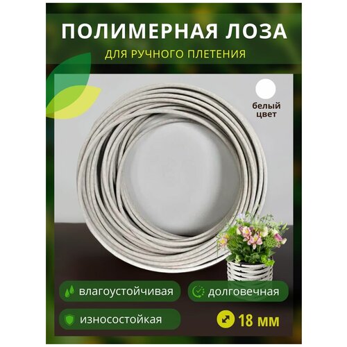 ������ ������ ���������� ���� � �����, ������� 18��, 200�, ����� ����