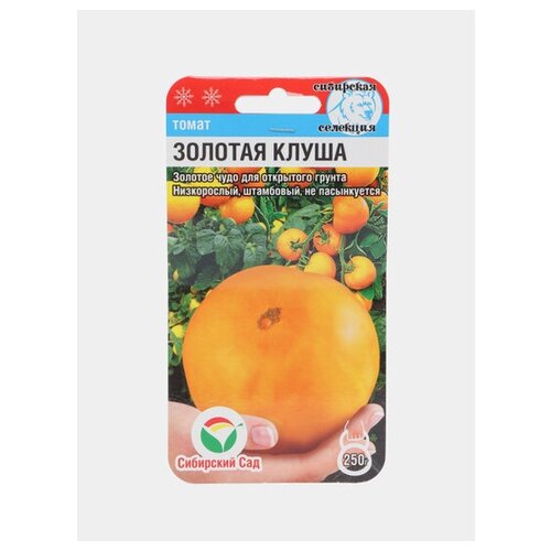 ������ ������ ������ ����� ������� ����� 20�� ��� (��������� ���) ����