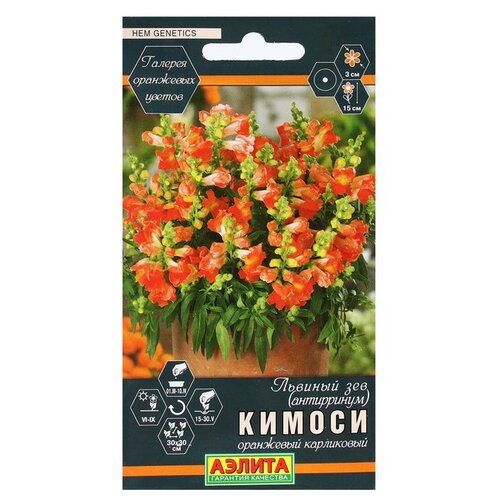 ������ ������ ������ ��������� ������ ������� ��� ������ ��������� ����������, 0,05 � ����