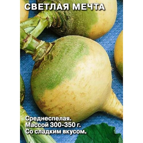 ������ ������ ������ ������ ������� ����� ����