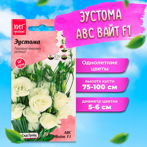 ������ ������ ������ ������� ��� ���� F1 5 �� ������������ ����