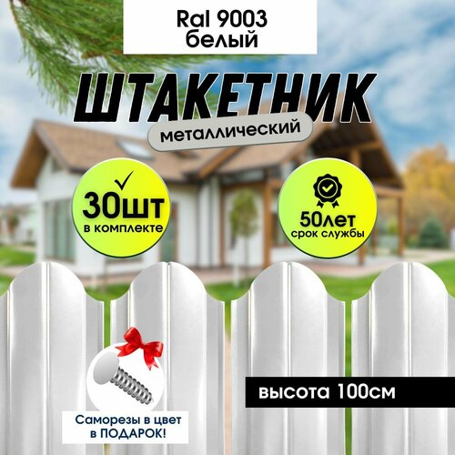 ������ ������ �������� ������� ��� ���� ��������� ����� 100�� ����