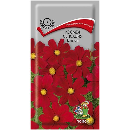 ������ ������ ������ �������� ������� 0,3�� ��� ����